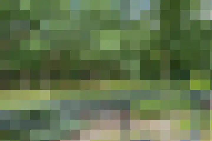 Valtherlaan 263 Emmen thumbnail 11