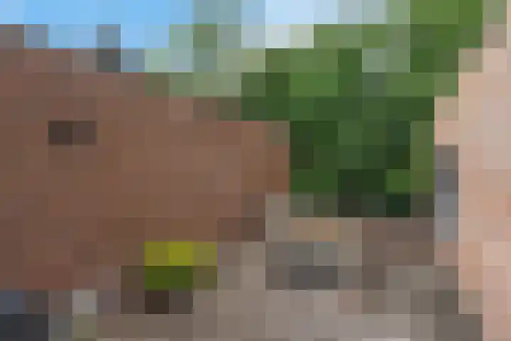 Valtherlaan 263 Emmen thumbnail 20