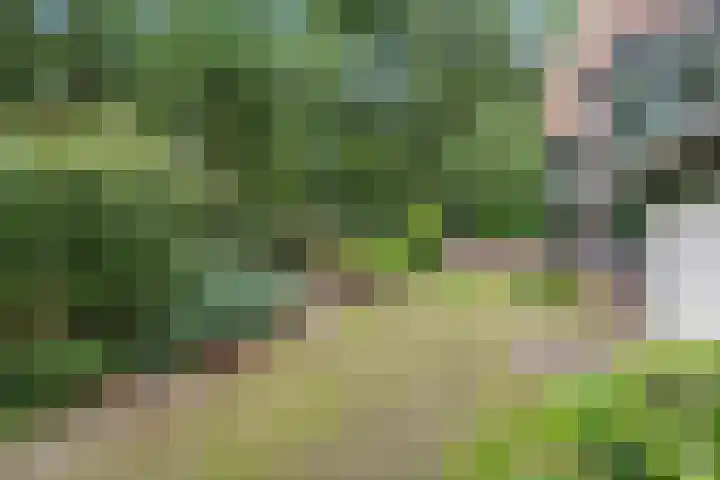 Valtherlaan 263 Emmen thumbnail 32