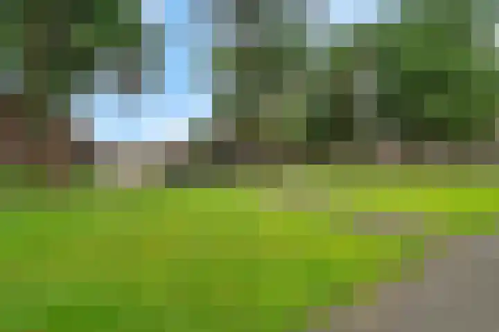 Valtherlaan 263 Emmen thumbnail 39