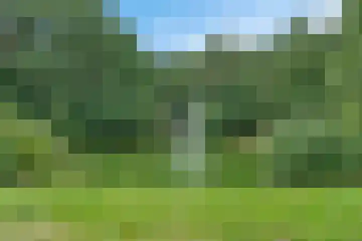 Valtherlaan 263 Emmen thumbnail 40