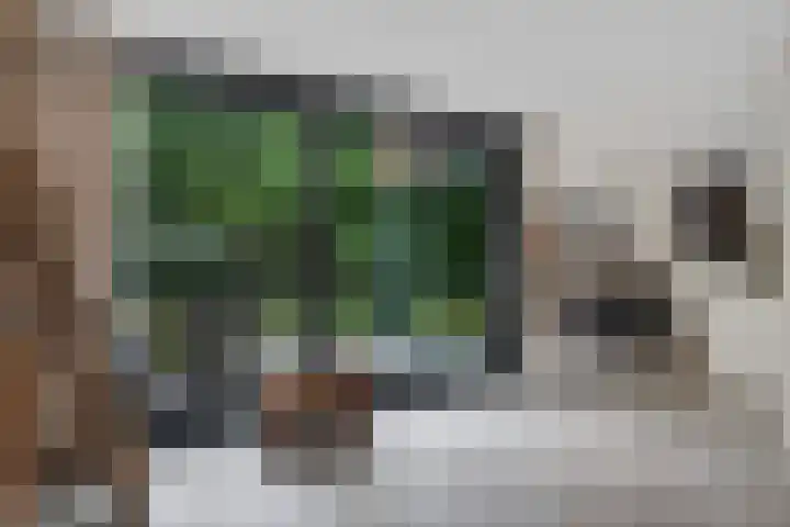 Valtherlaan 263 Emmen thumbnail 9