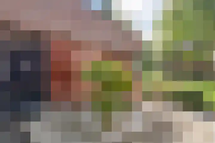 Valtherlaan 265 Emmen thumbnail 10