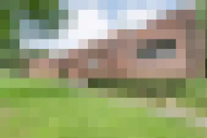 Valtherlaan 265 Emmen thumbnail 4