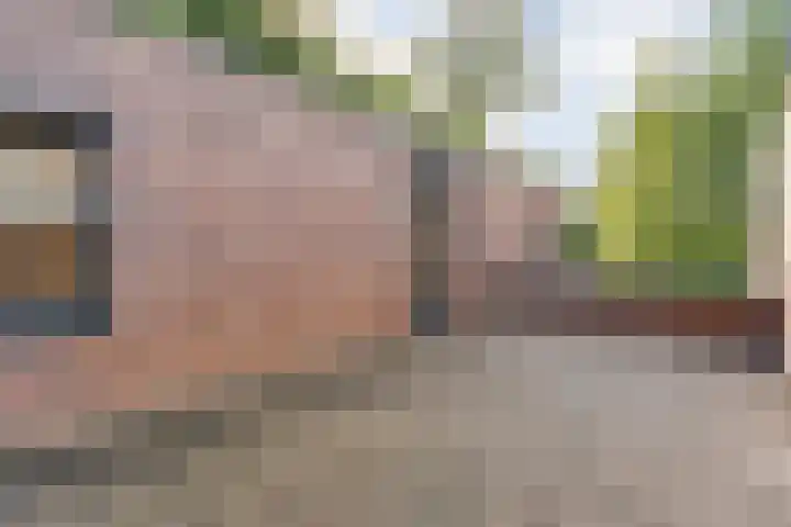 Valtherlaan 265 Emmen thumbnail 46