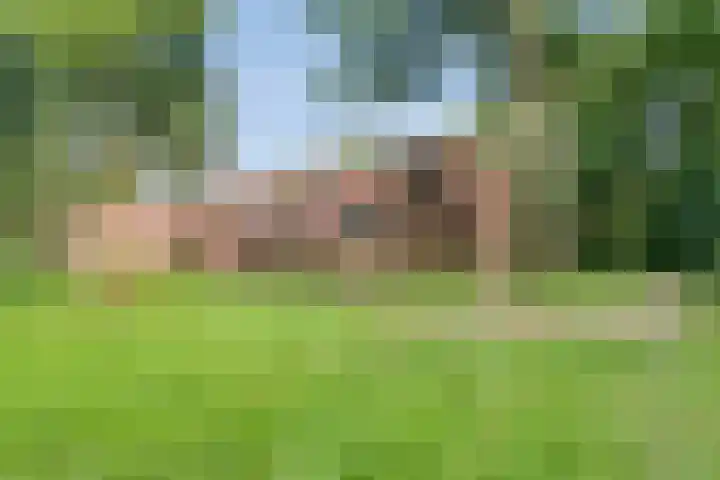 Valtherlaan 265 Emmen thumbnail 5