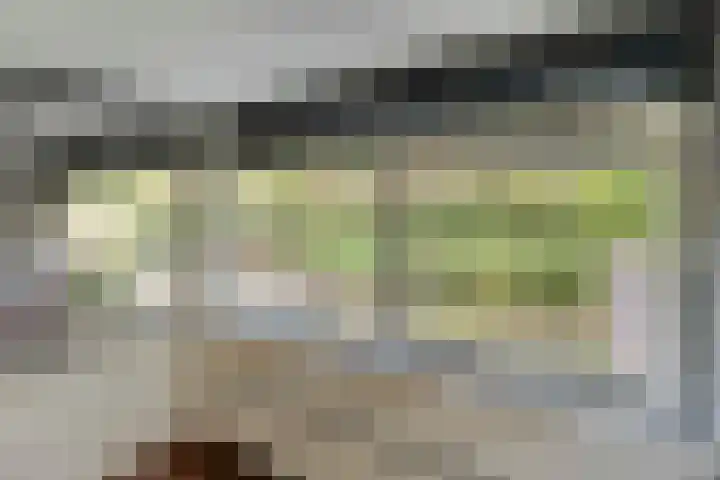 Valtherlaan 265 Emmen thumbnail 57