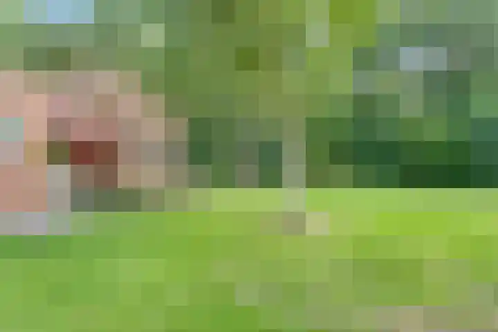 Valtherlaan 265 Emmen thumbnail 6