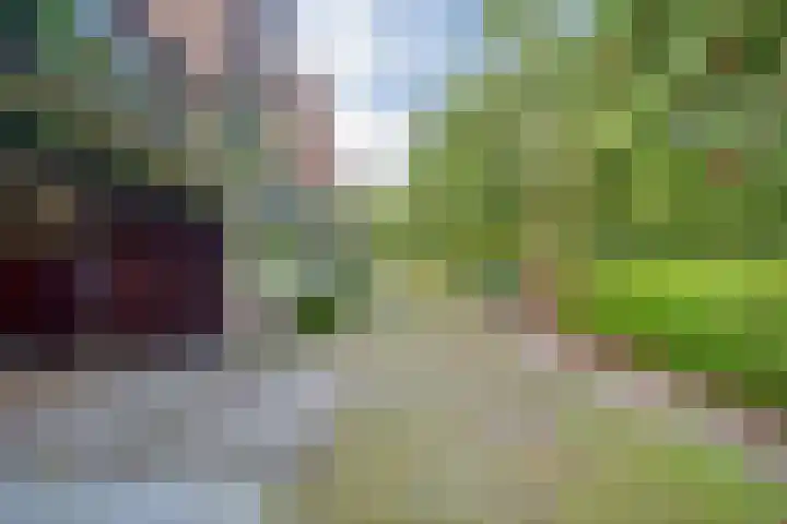 Valtherlaan 265 Emmen thumbnail 66
