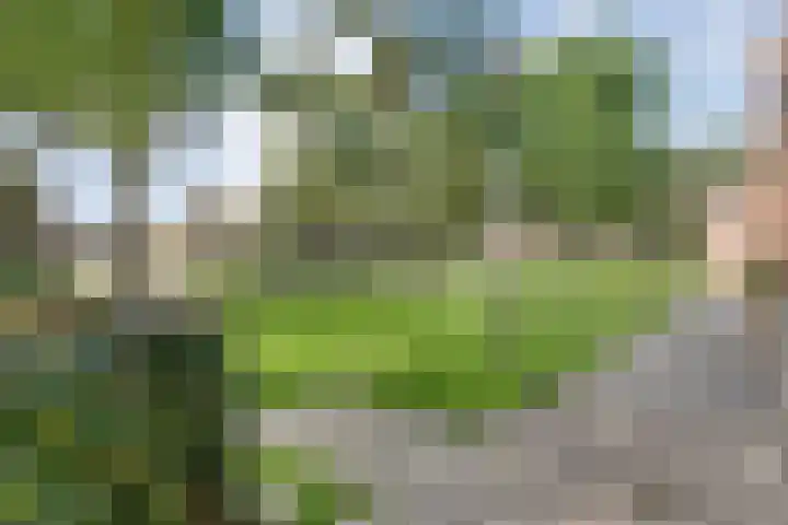 Valtherlaan 265 Emmen thumbnail 68
