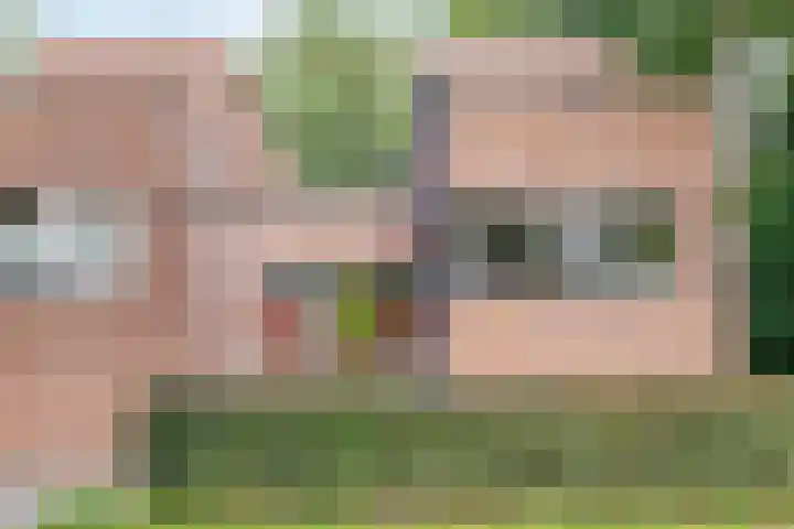 Valtherlaan 265 Emmen thumbnail 7