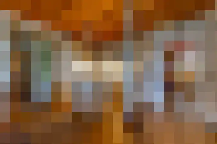 Valthermussel 14 2e Valthermond thumbnail 18