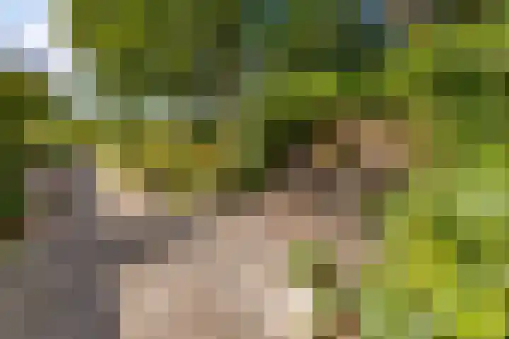 Valthermussel 14 2e Valthermond thumbnail 4