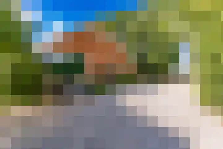 Valthermussel 14 2e Valthermond thumbnail 40