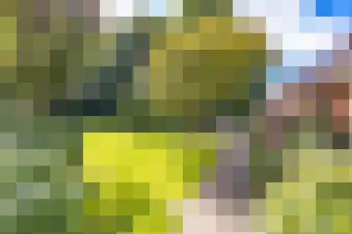 Valthermussel 14 2e Valthermond thumbnail 41