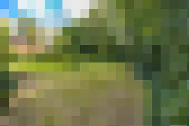 Valthermussel 14 2e Valthermond thumbnail 42