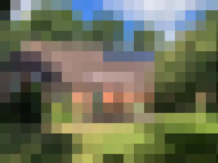 Valthermussel 14 2e Valthermond thumbnail 43