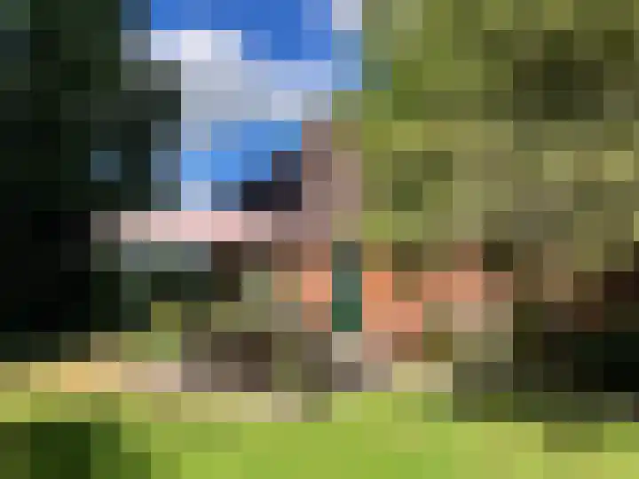 Valthermussel 14 2e Valthermond thumbnail 45