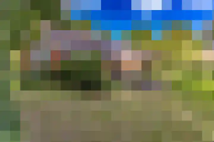 Valthermussel 14 2e Valthermond thumbnail 46