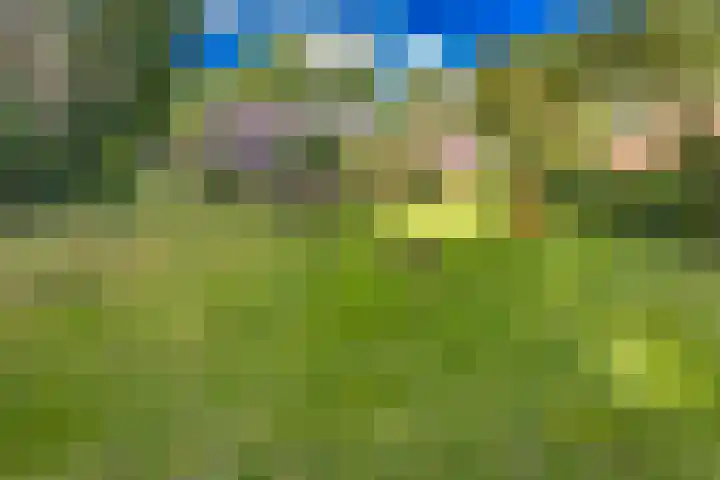 Valthermussel 14 2e Valthermond thumbnail 48