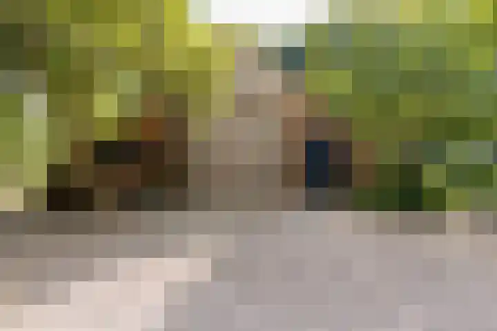 Valthermussel 14 2e Valthermond thumbnail 51