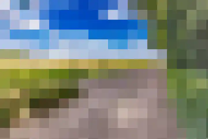 Valthermussel 14 2e Valthermond thumbnail 54
