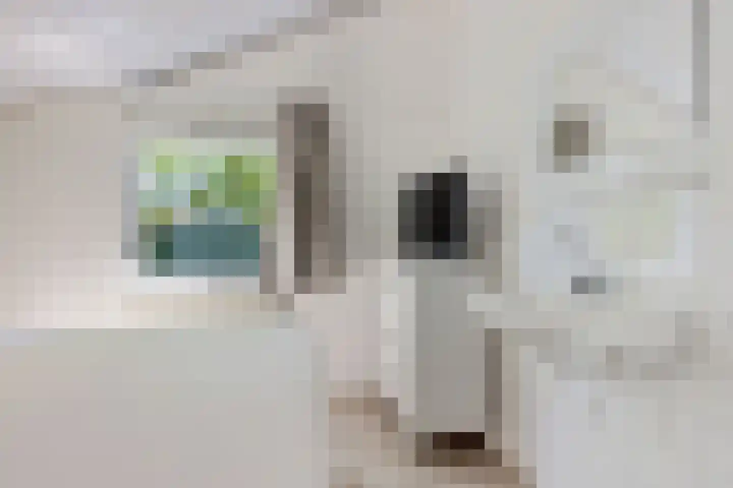 Valtherweg 36 002 Exloo thumbnail 20