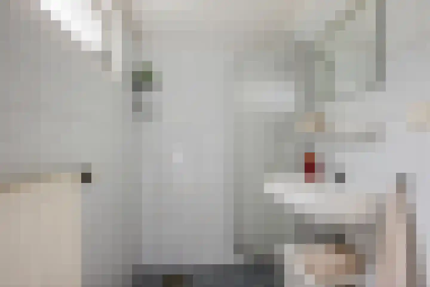 Valtherweg 36 002 Exloo thumbnail 25