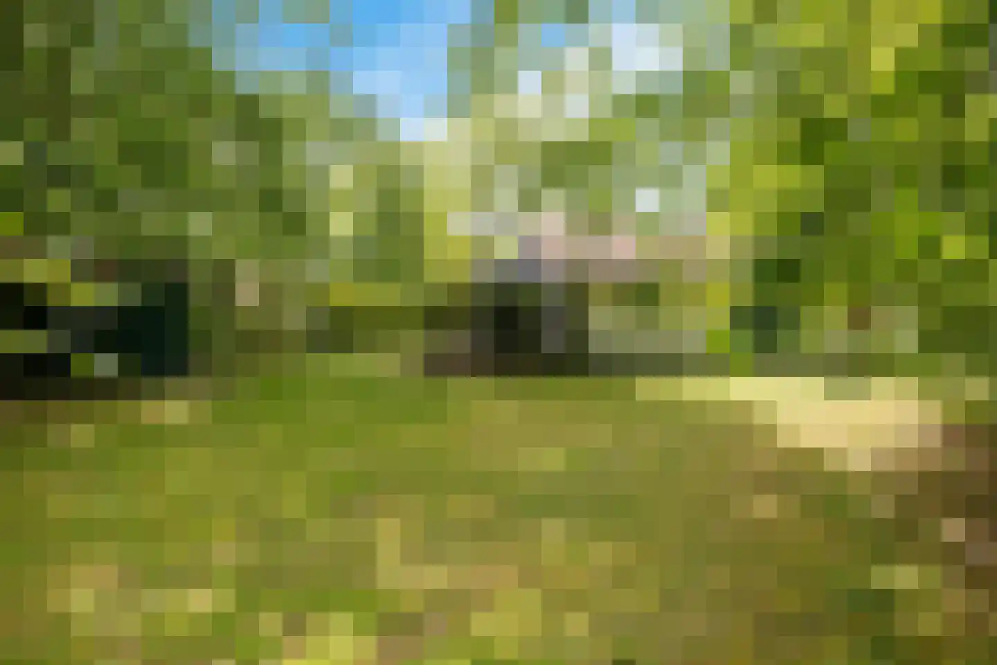 Valtherweg 36 002 Exloo thumbnail 30
