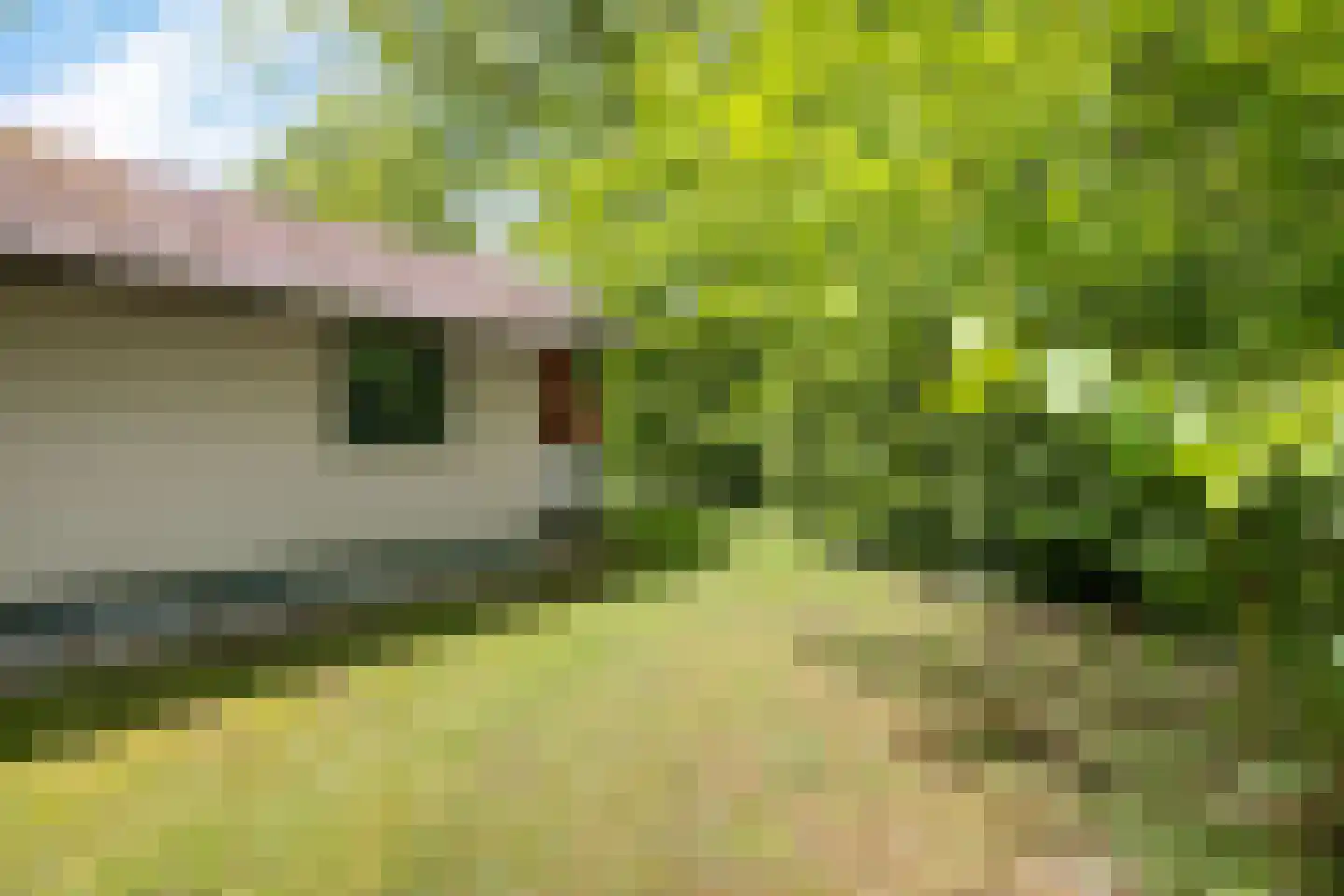 Valtherweg 36 002 Exloo thumbnail 32