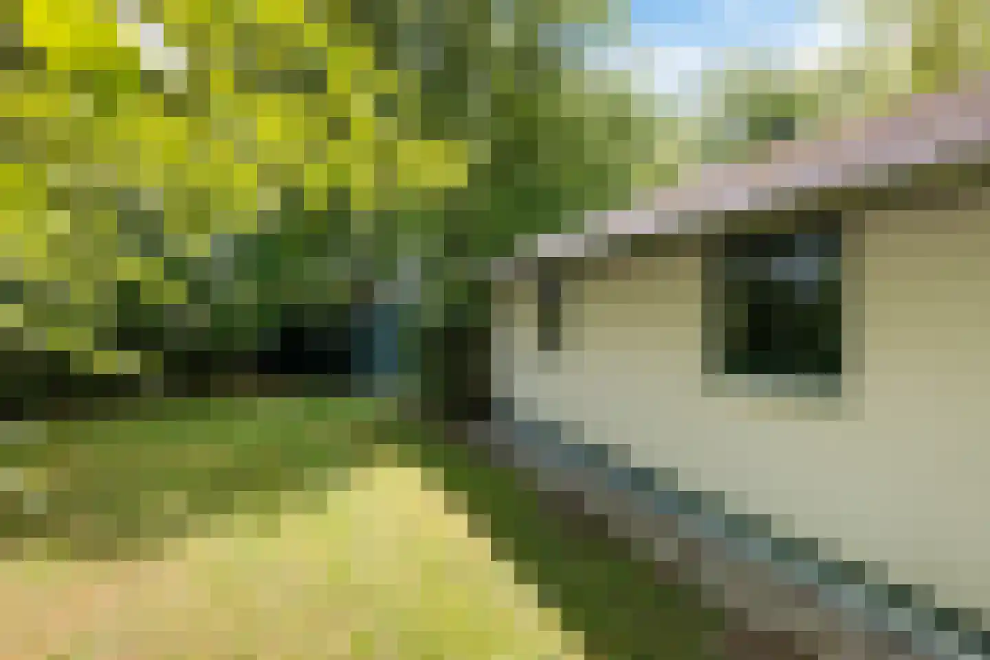 Valtherweg 36 002 Exloo thumbnail 33