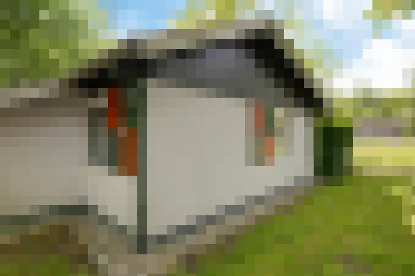 Valtherweg 36 002 Exloo thumbnail 34