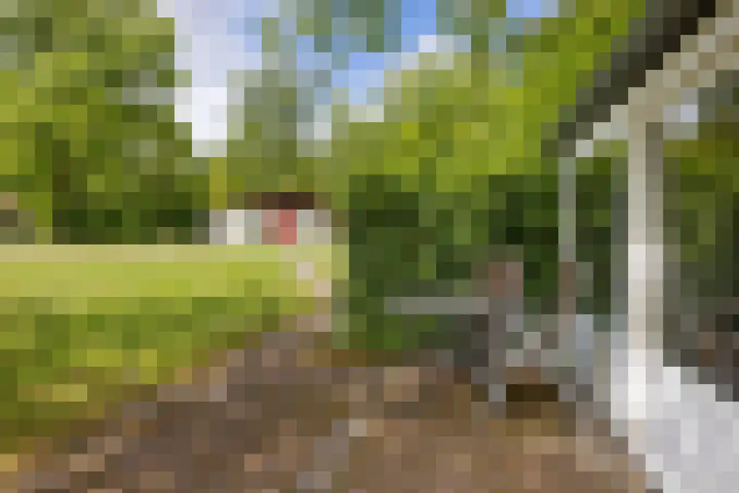 Valtherweg 36 002 Exloo thumbnail 36