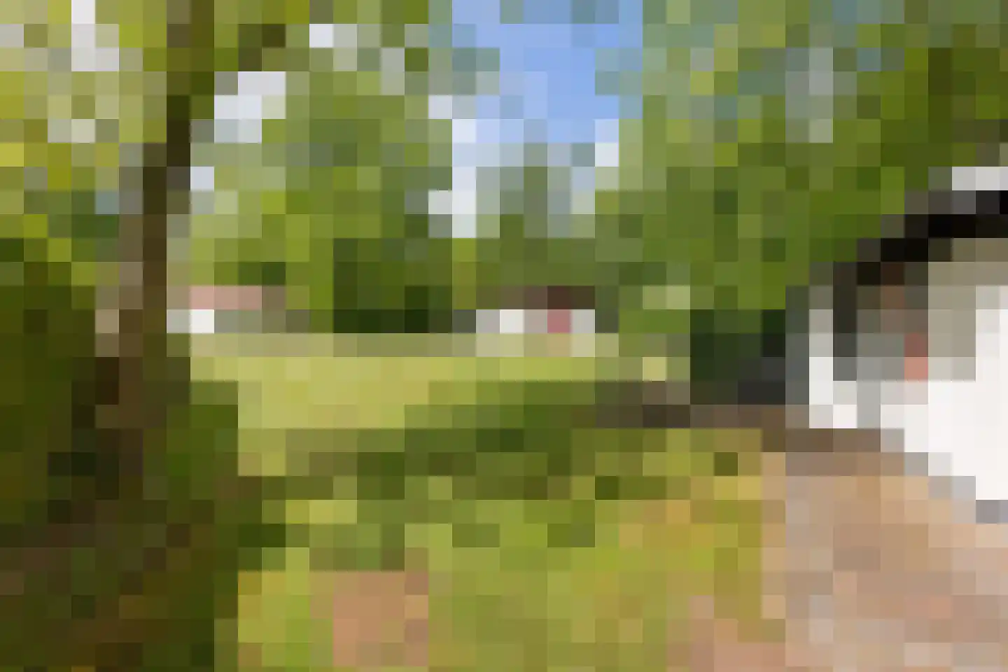 Valtherweg 36 002 Exloo thumbnail 37