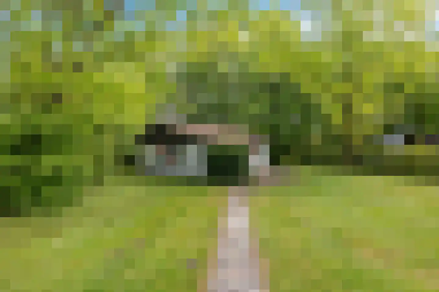 Valtherweg 36 002 Exloo thumbnail 4