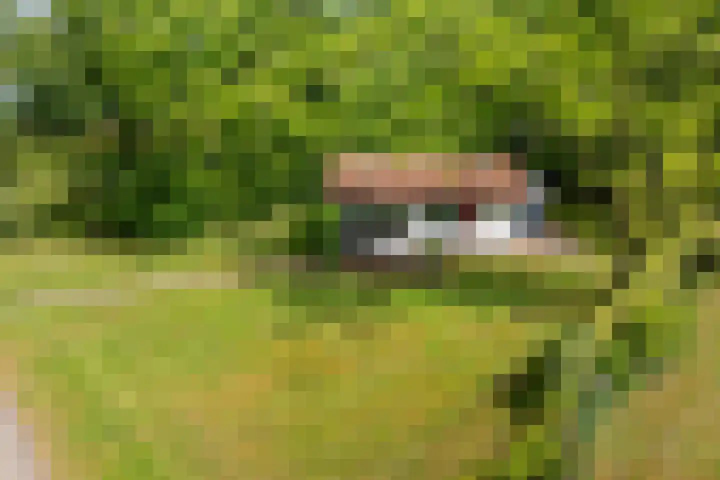 Valtherweg 36 002 Exloo thumbnail 41