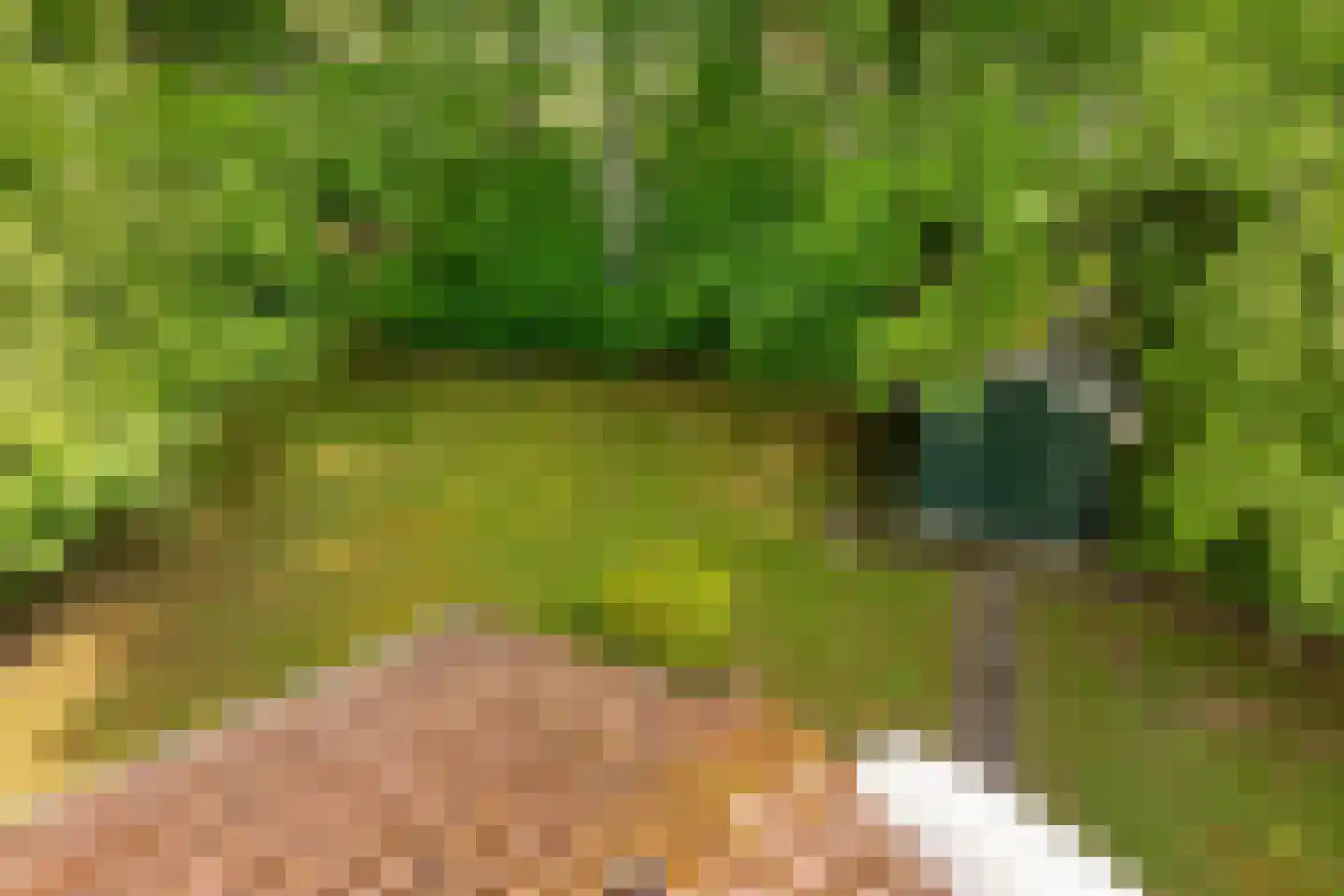 Valtherweg 36 002 Exloo thumbnail 44