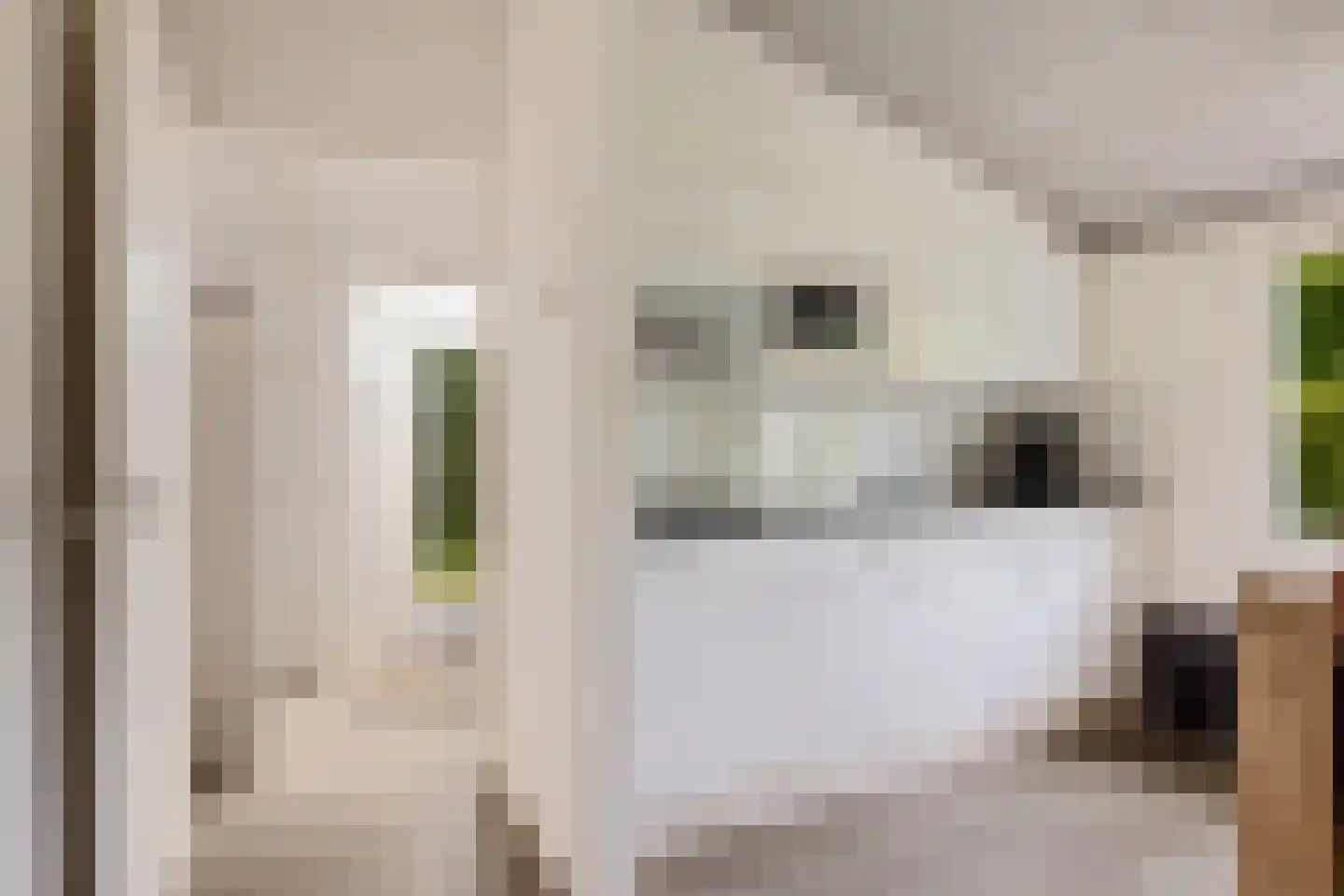 Valtherweg 36 002 Exloo thumbnail 7