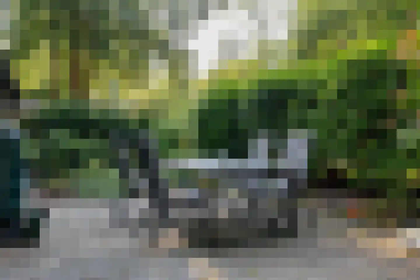Valtherweg 36 017 Exloo thumbnail 10