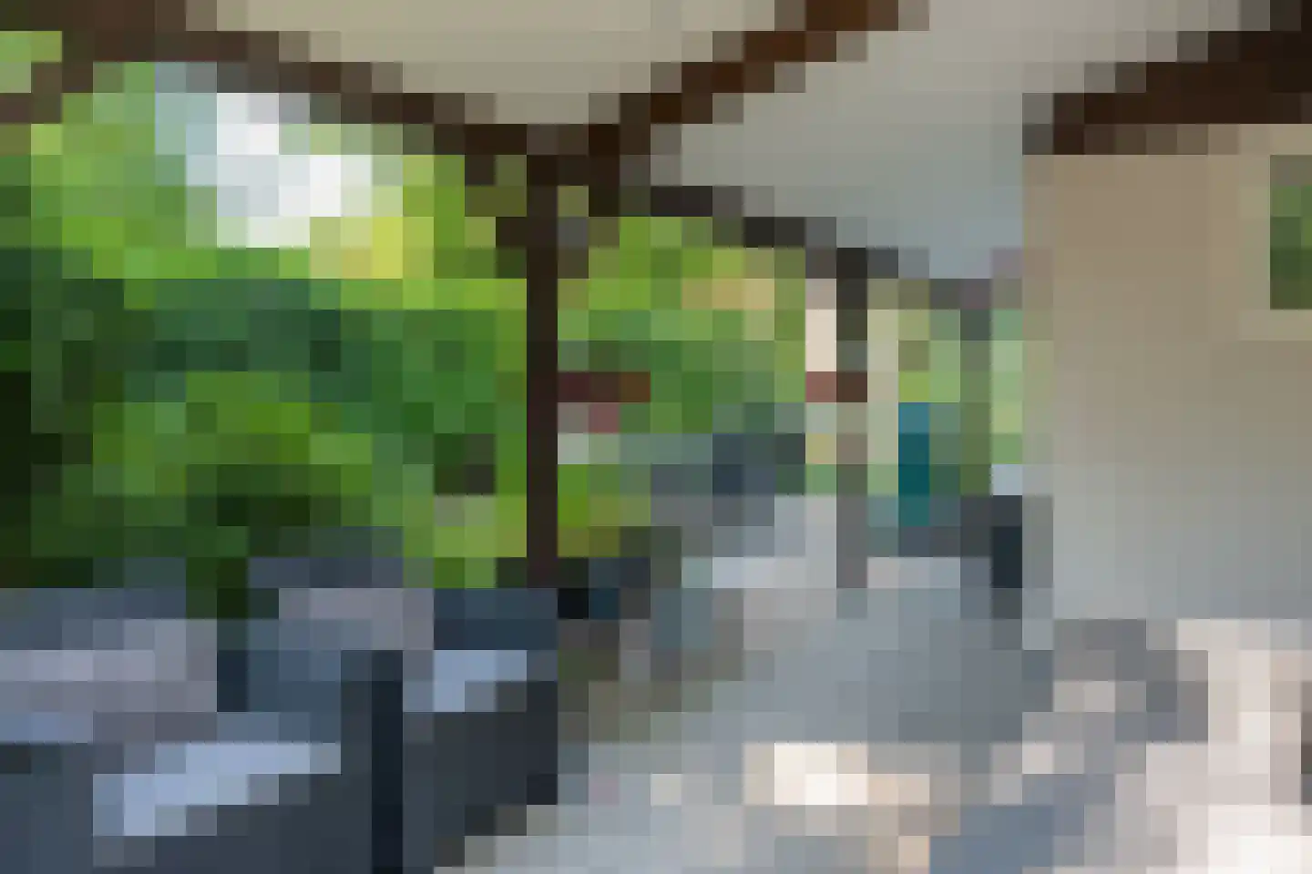 Valtherweg 36 017 Exloo thumbnail 15