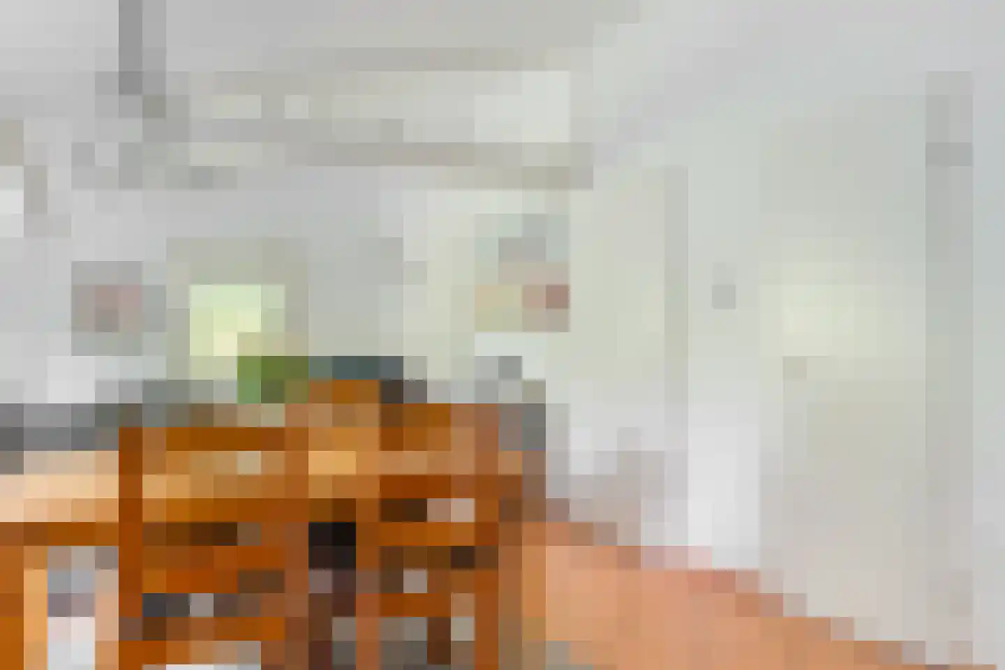Valtherweg 36 017 Exloo thumbnail 23