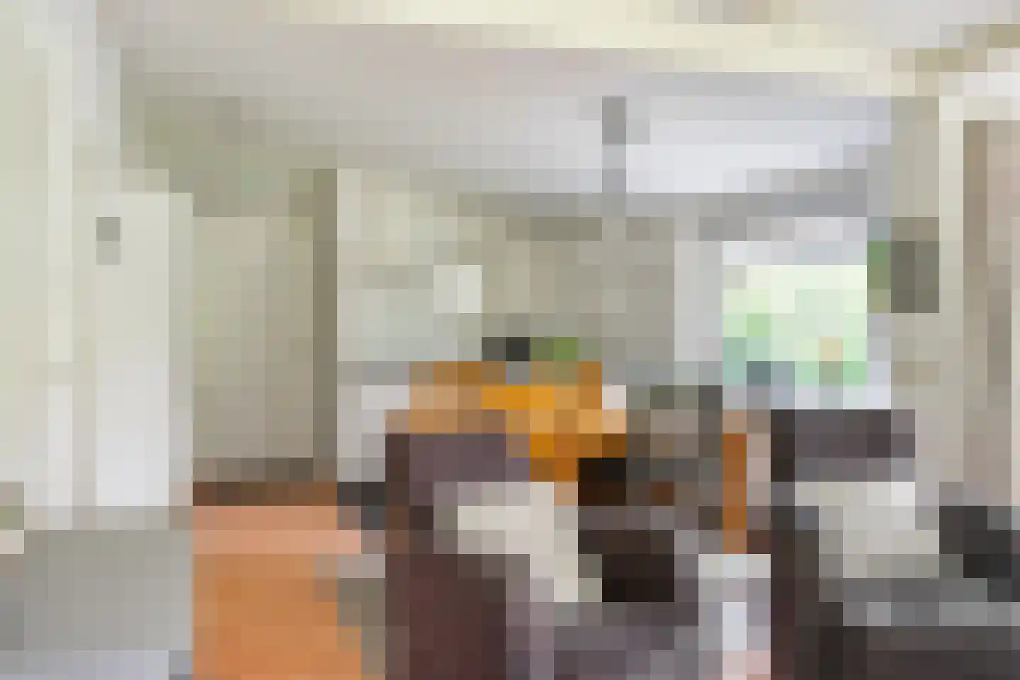 Valtherweg 36 017 Exloo thumbnail 30