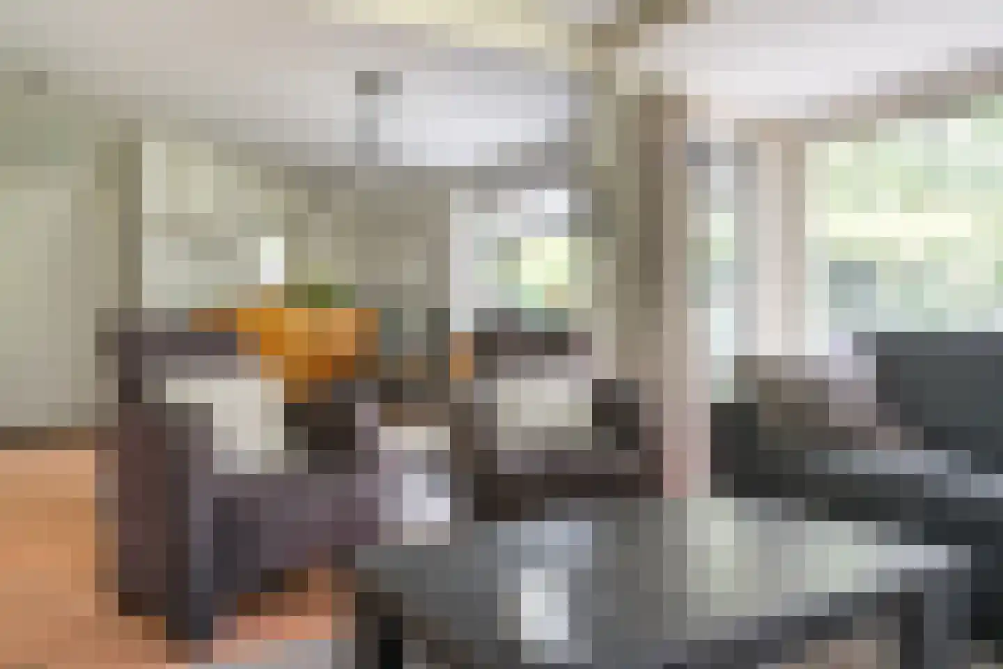 Valtherweg 36 017 Exloo thumbnail 33