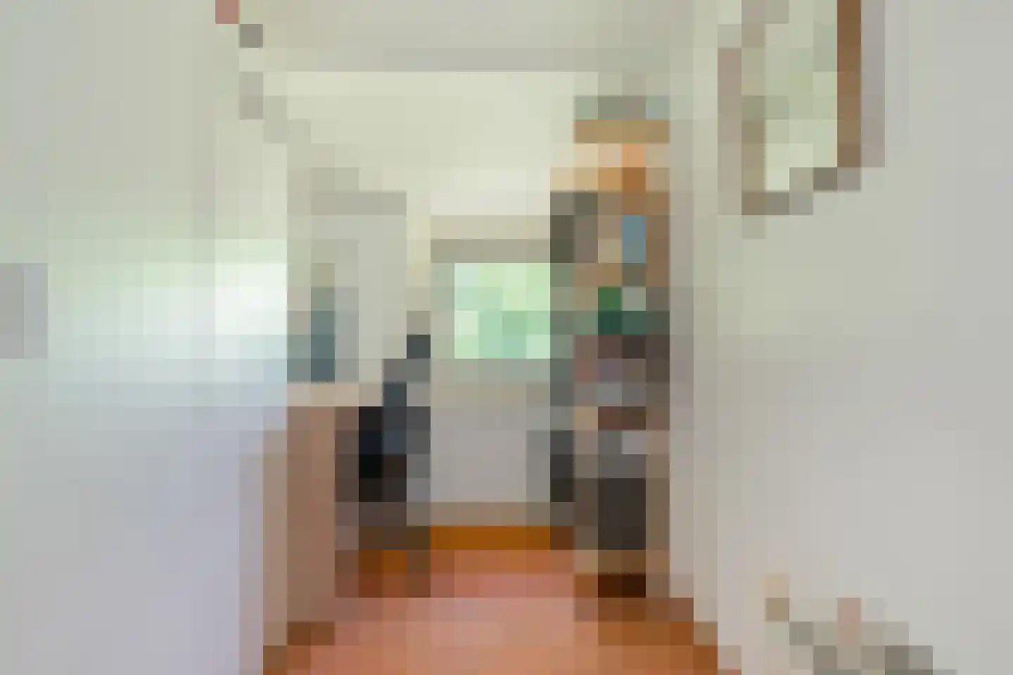 Valtherweg 36 017 Exloo thumbnail 34