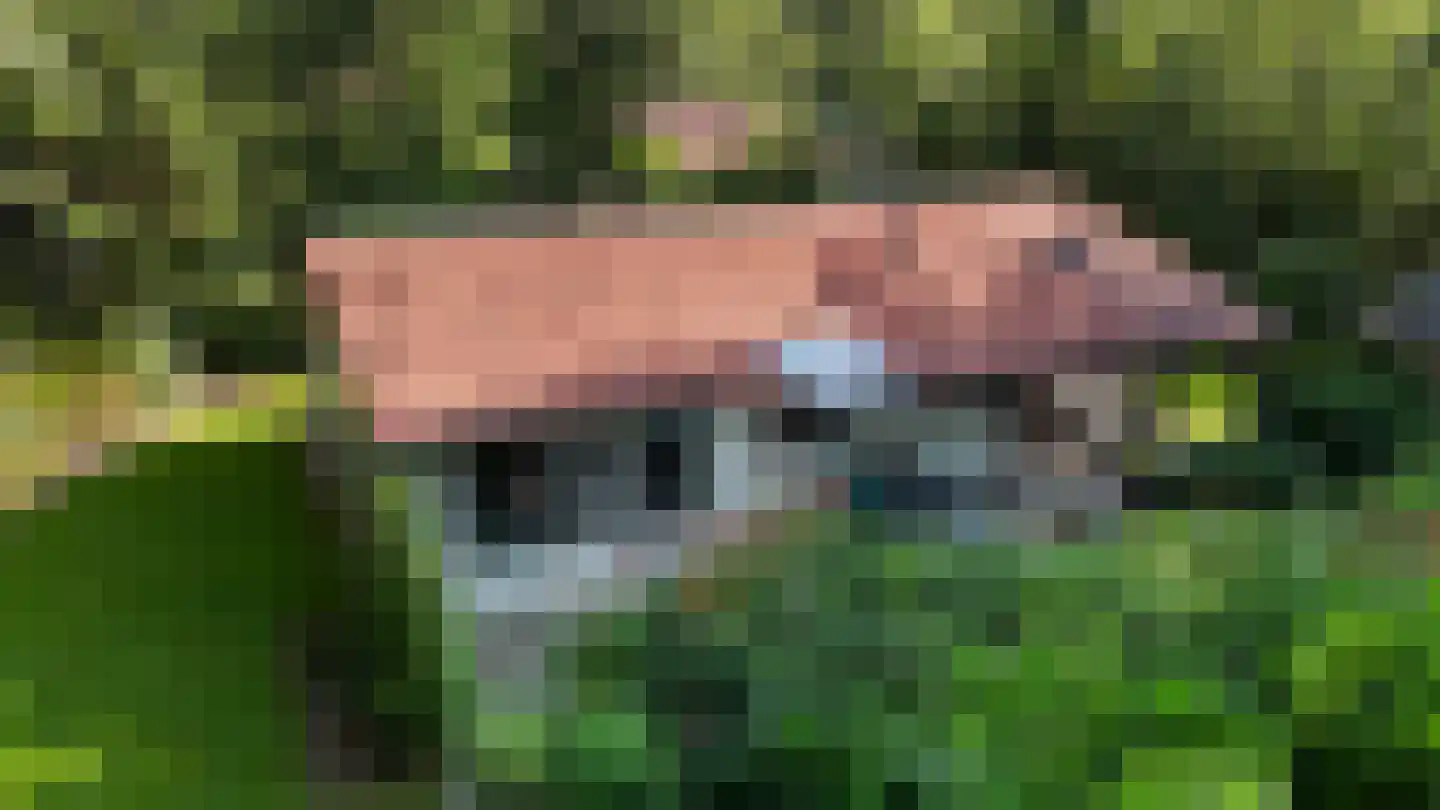Valtherweg 36 017 Exloo thumbnail 37