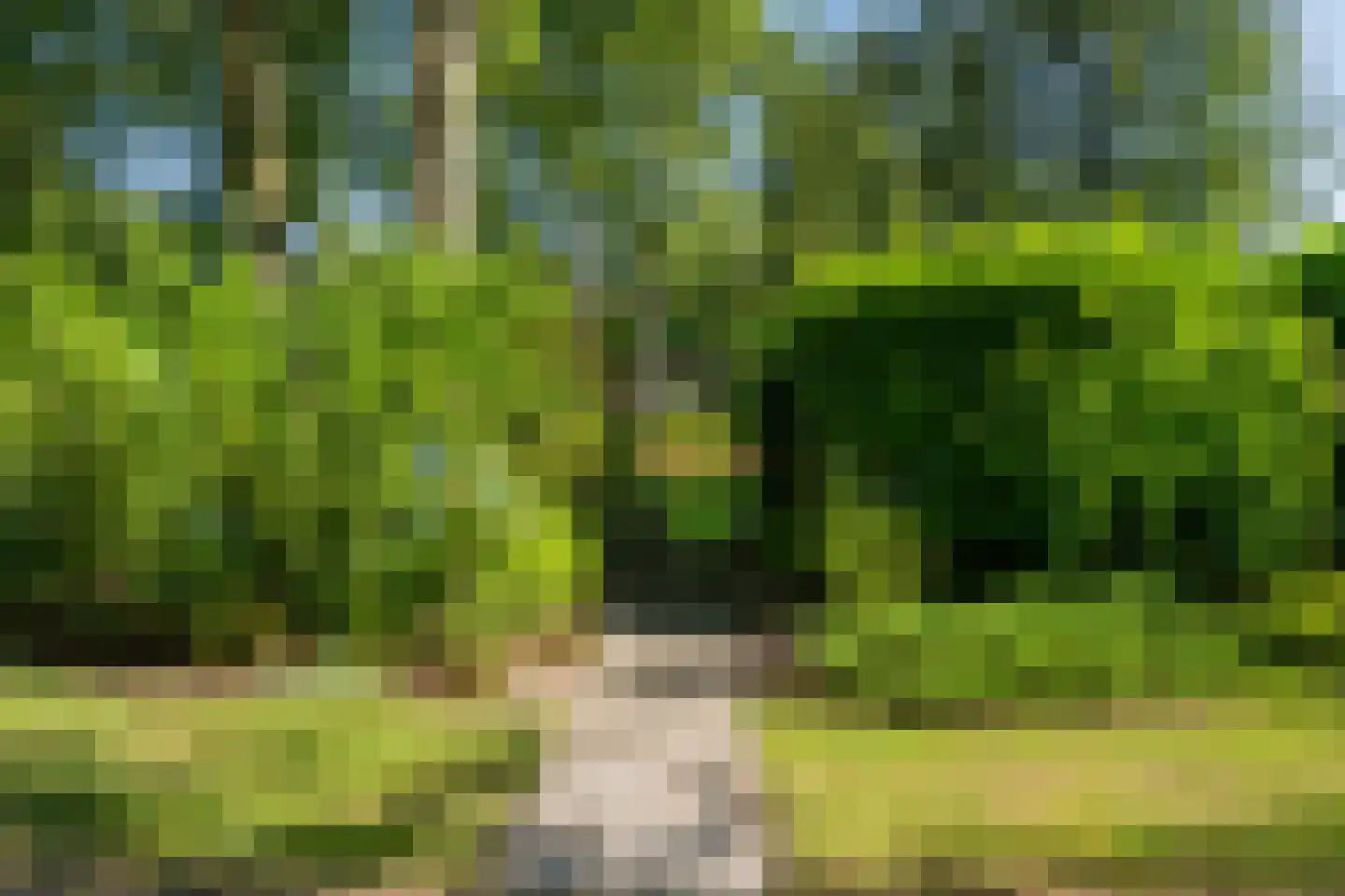 Valtherweg 36 017 Exloo thumbnail 38