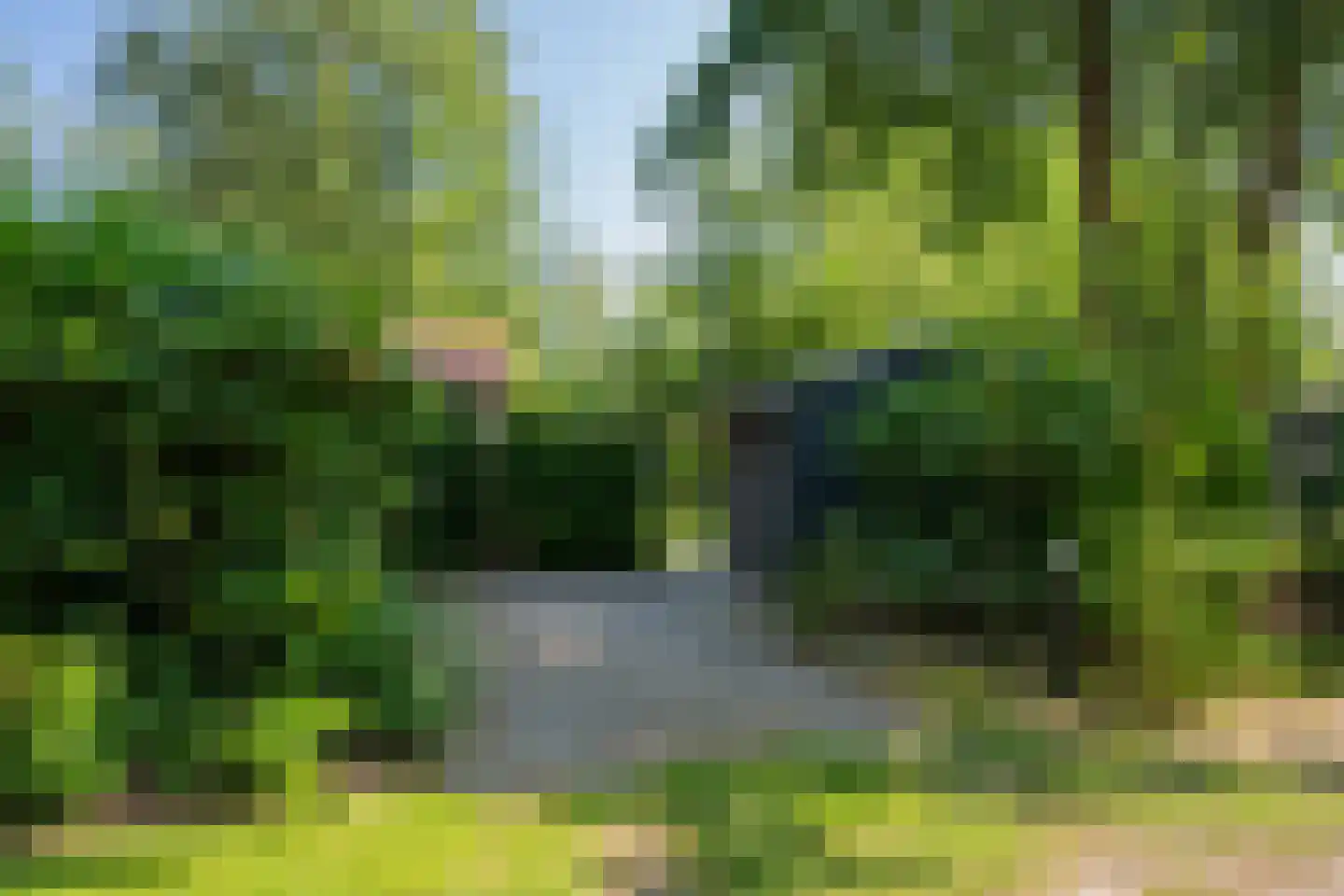 Valtherweg 36 017 Exloo thumbnail 4