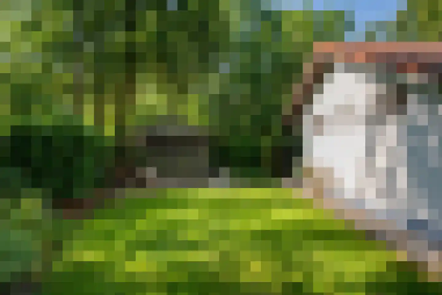 Valtherweg 36 017 Exloo thumbnail 5