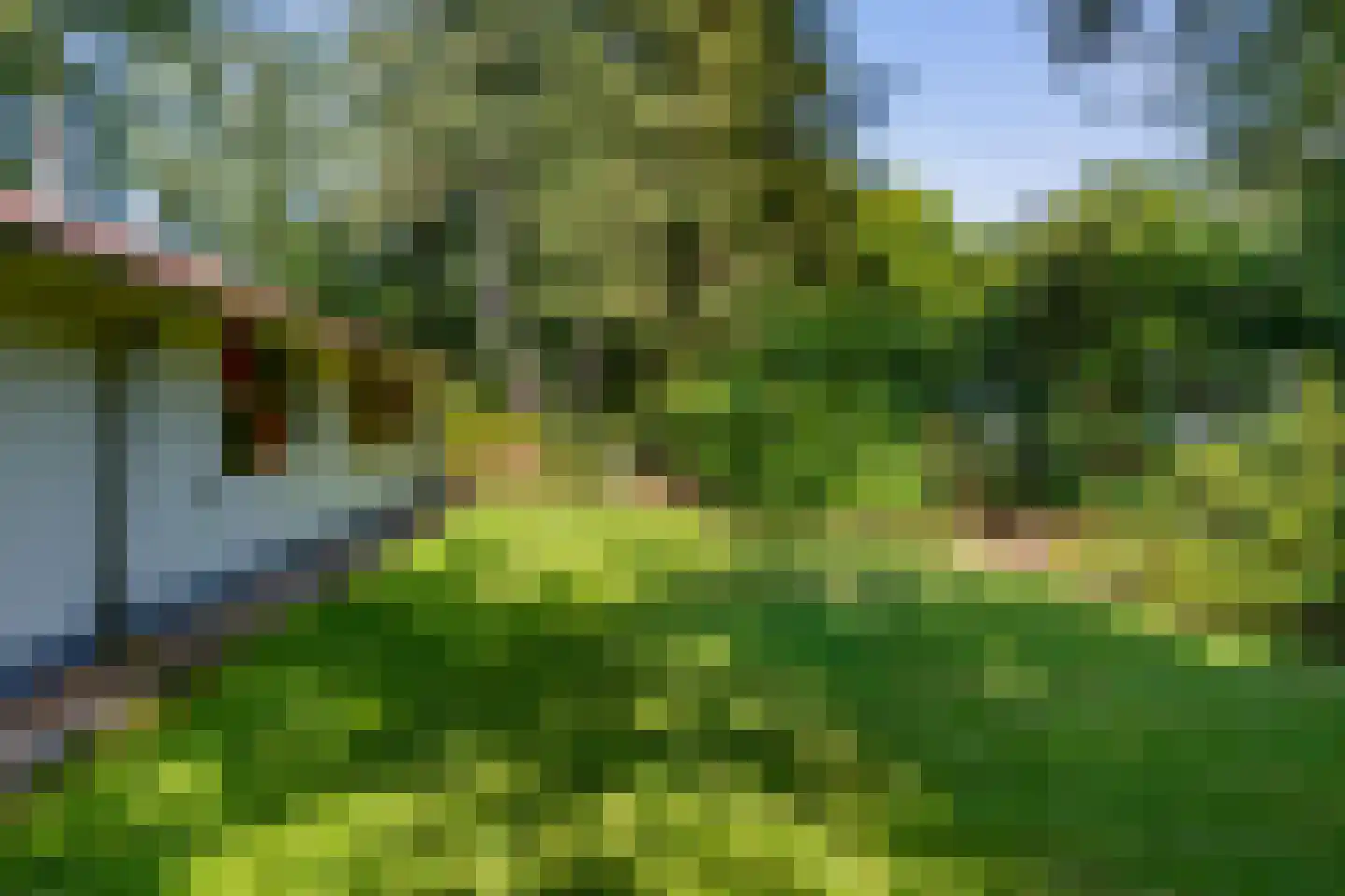 Valtherweg 36 017 Exloo thumbnail 6