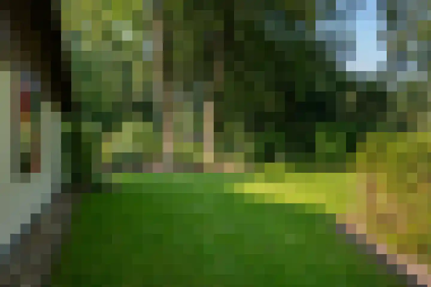Valtherweg 36 017 Exloo thumbnail 7